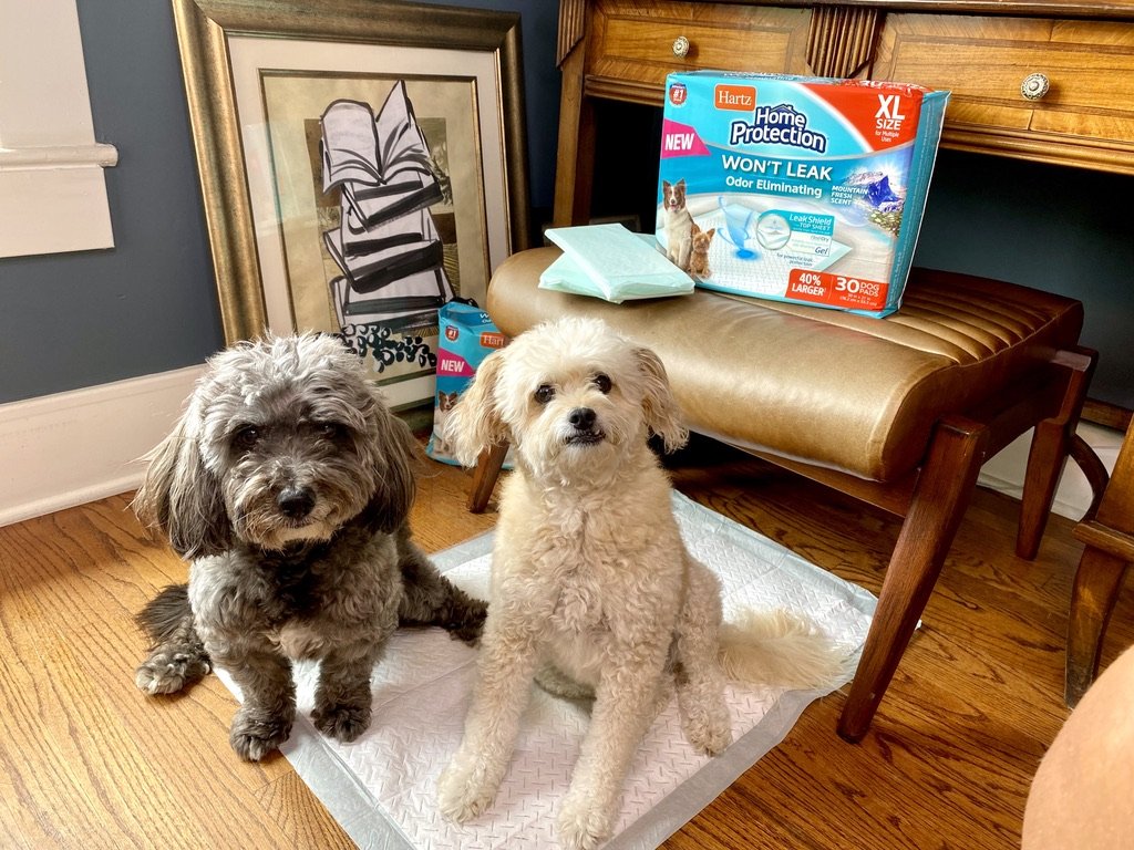 <em>Priya, California</em>